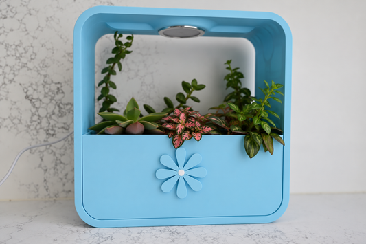 INDOOR PLANTERS