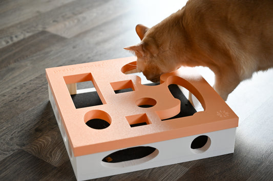 INTERACTIVE CAT SCRATCHERS
