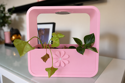 INDOOR PLANTERS