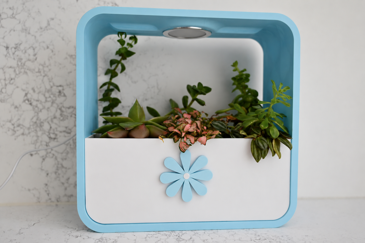 INDOOR PLANTERS