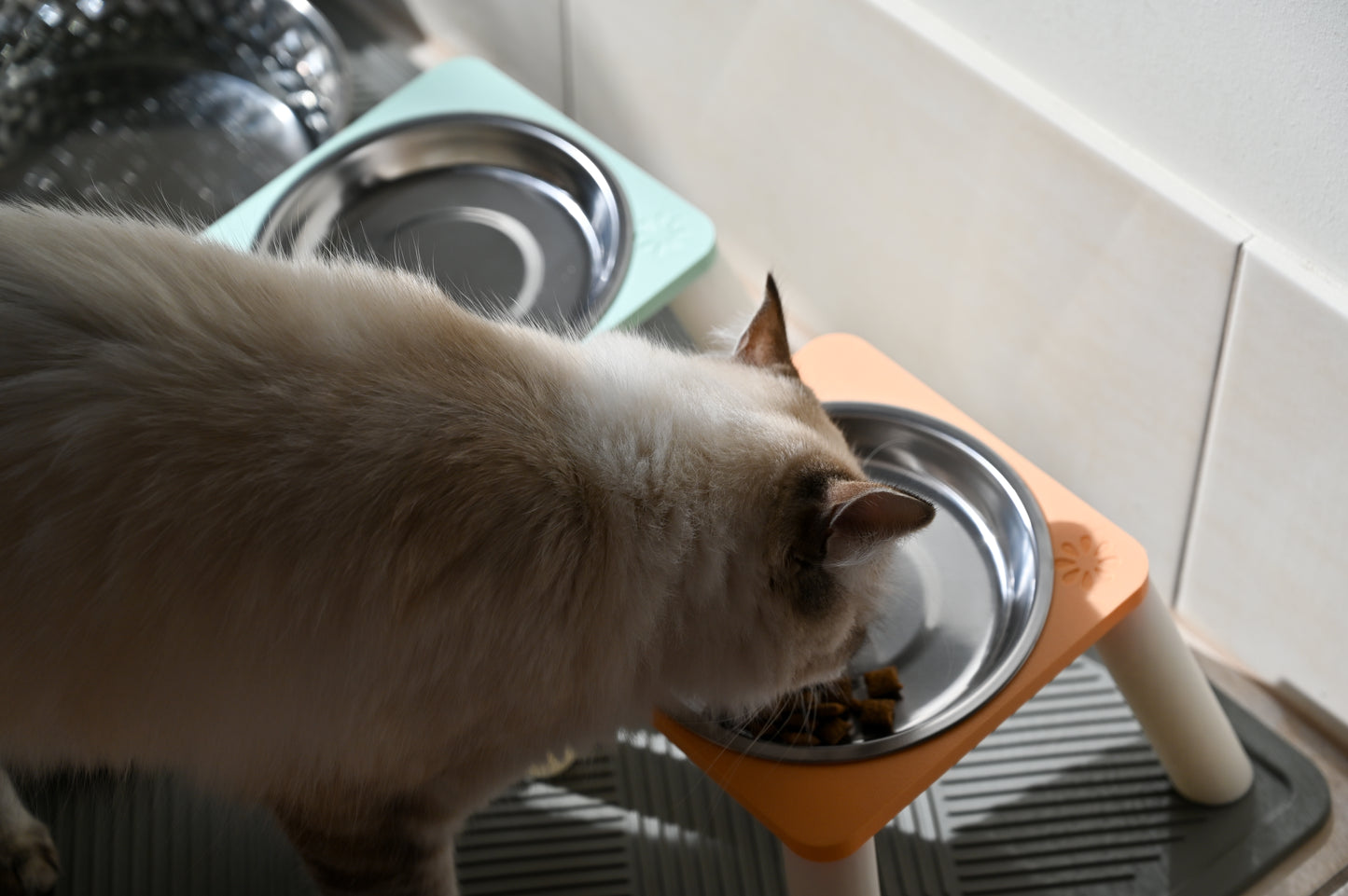 ELEVATED CAT BOWLS