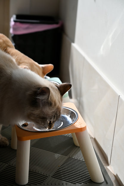ELEVATED CAT BOWLS