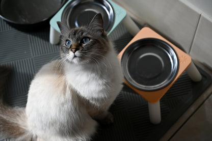 ELEVATED CAT BOWLS