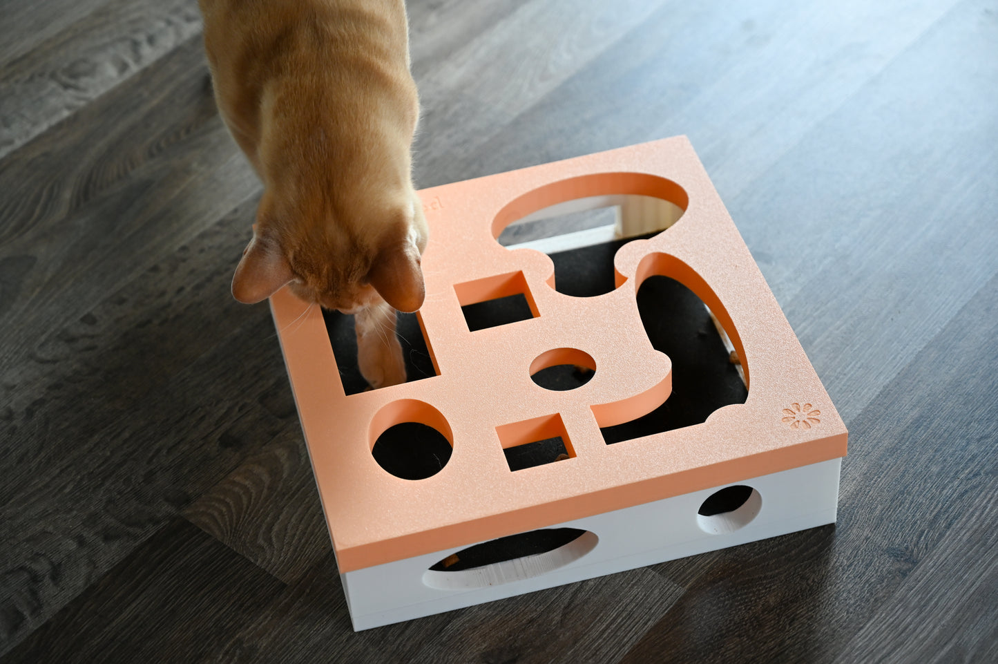 INTERACTIVE CAT SCRATCHERS