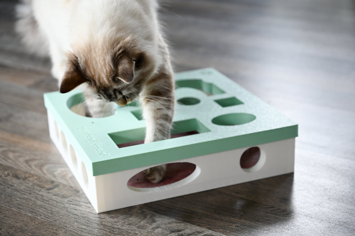 INTERACTIVE CAT SCRATCHERS