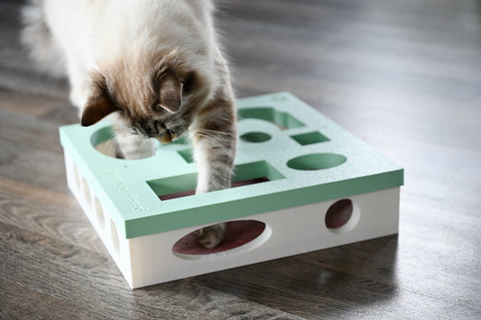 INTERACTIVE CAT SCRATCHERS