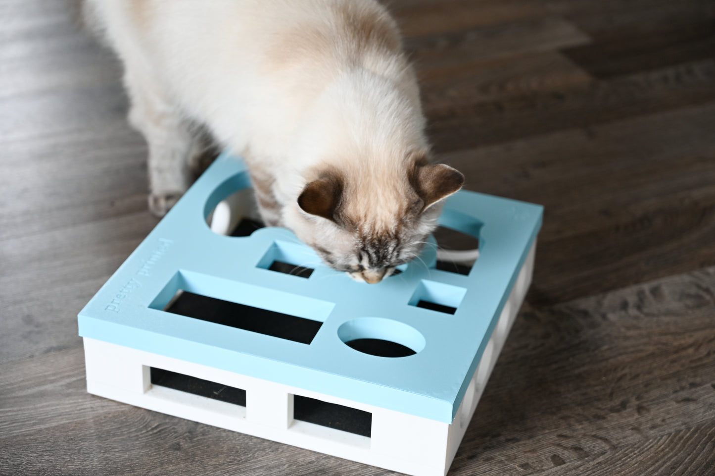 INTERACTIVE CAT SCRATCHERS